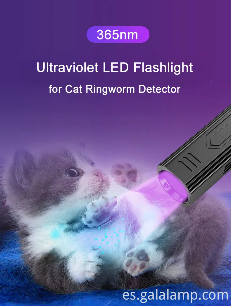 Linterna UV de 365 nm portátil con luz negra recargable y 5 modos